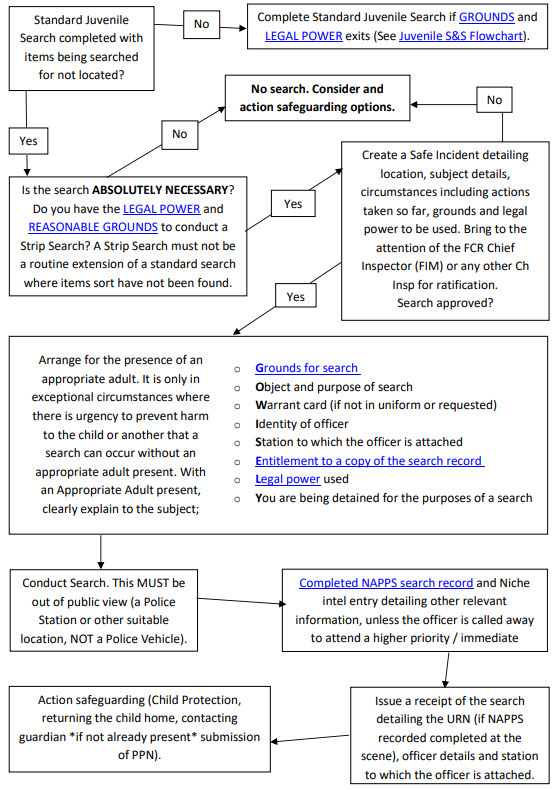 Appendix E - Strip Search of a Child.PNG