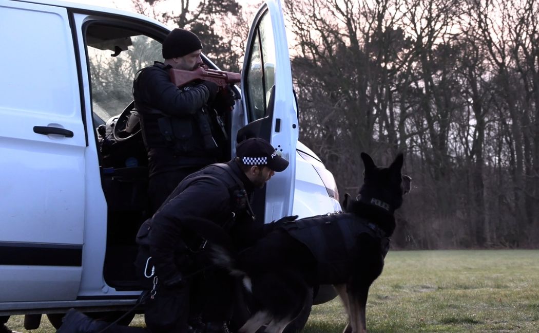 Police dog taking part in firearms training