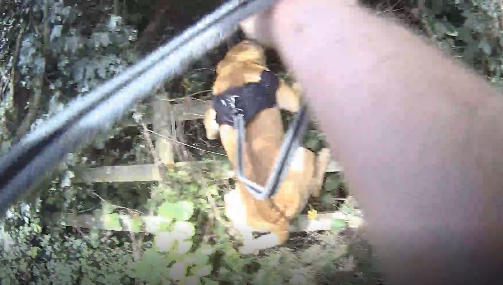 Seth finds suspect