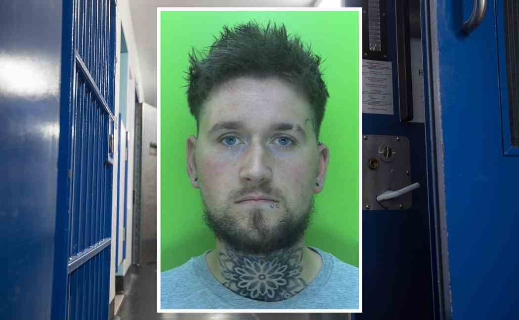 Ashley Lilleyman mugshot