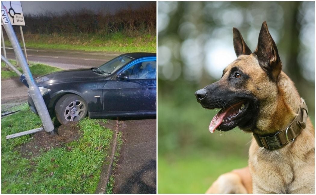 Seth and speeding car