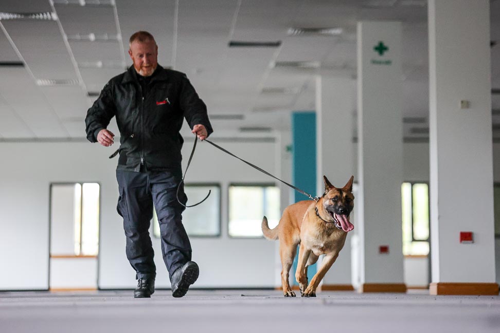 PD Ralph