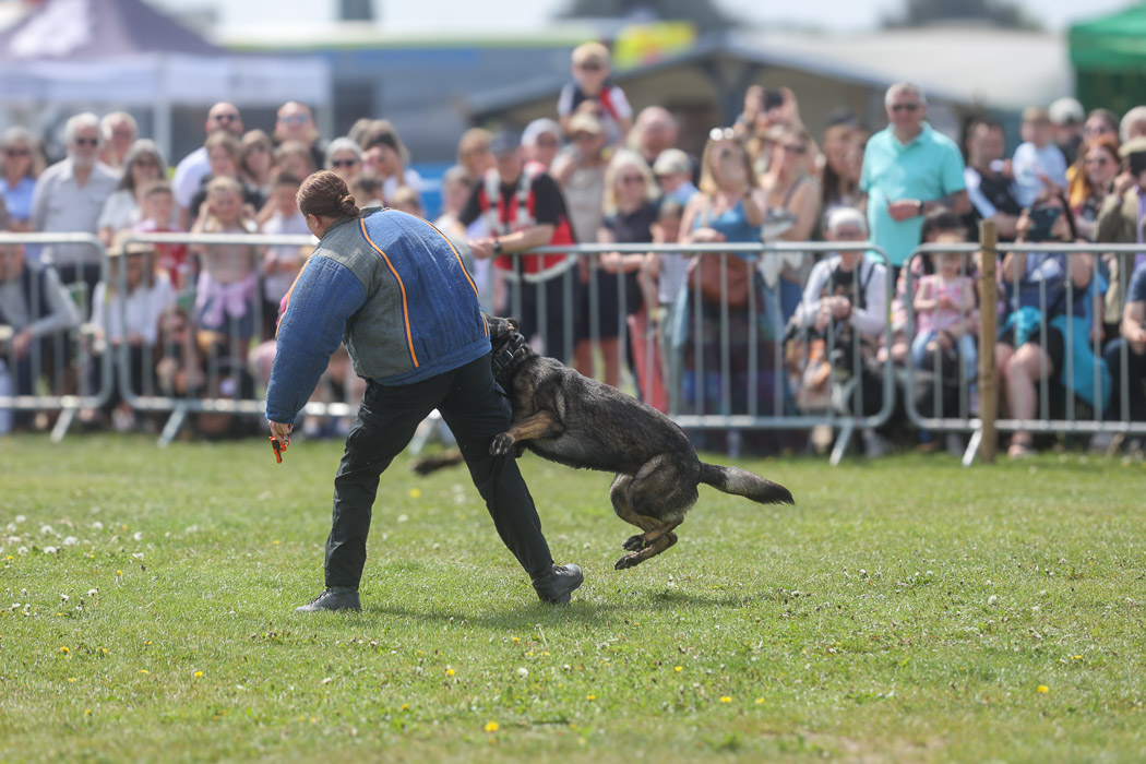 PD Max taking down a mock suspect