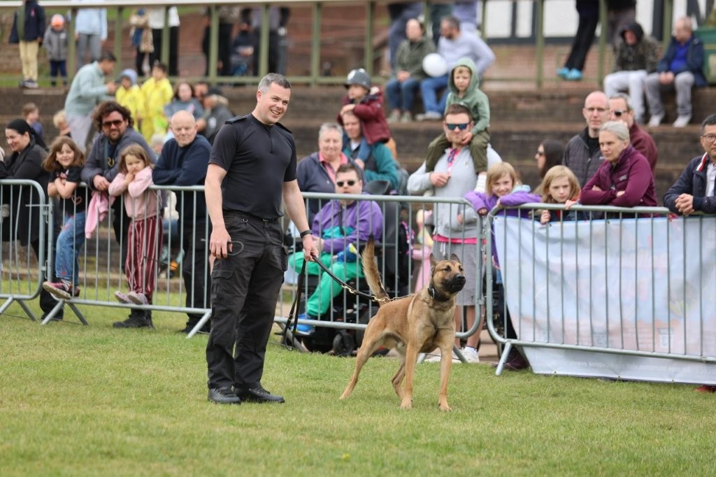 A police dog, on a lead, completes drills in a parade square with a handler at the fun day, in front of a crowd.
