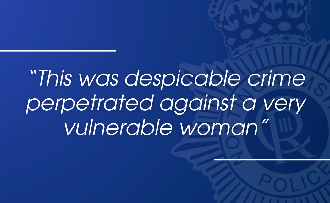 despicable crime pull quote.jpg