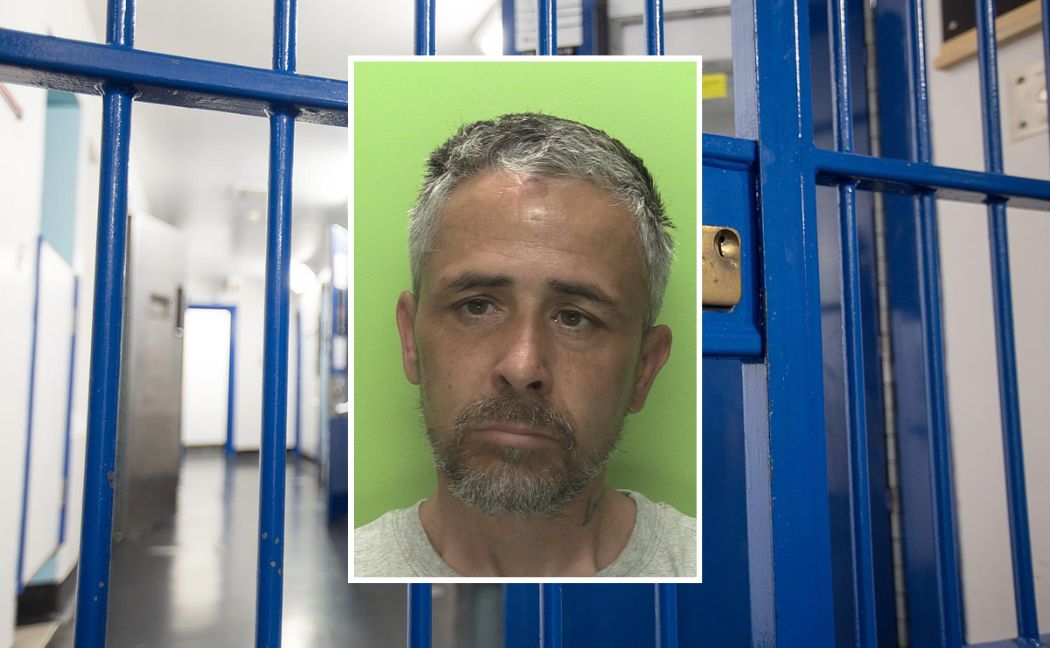 Joseph Healey Custody.jpg