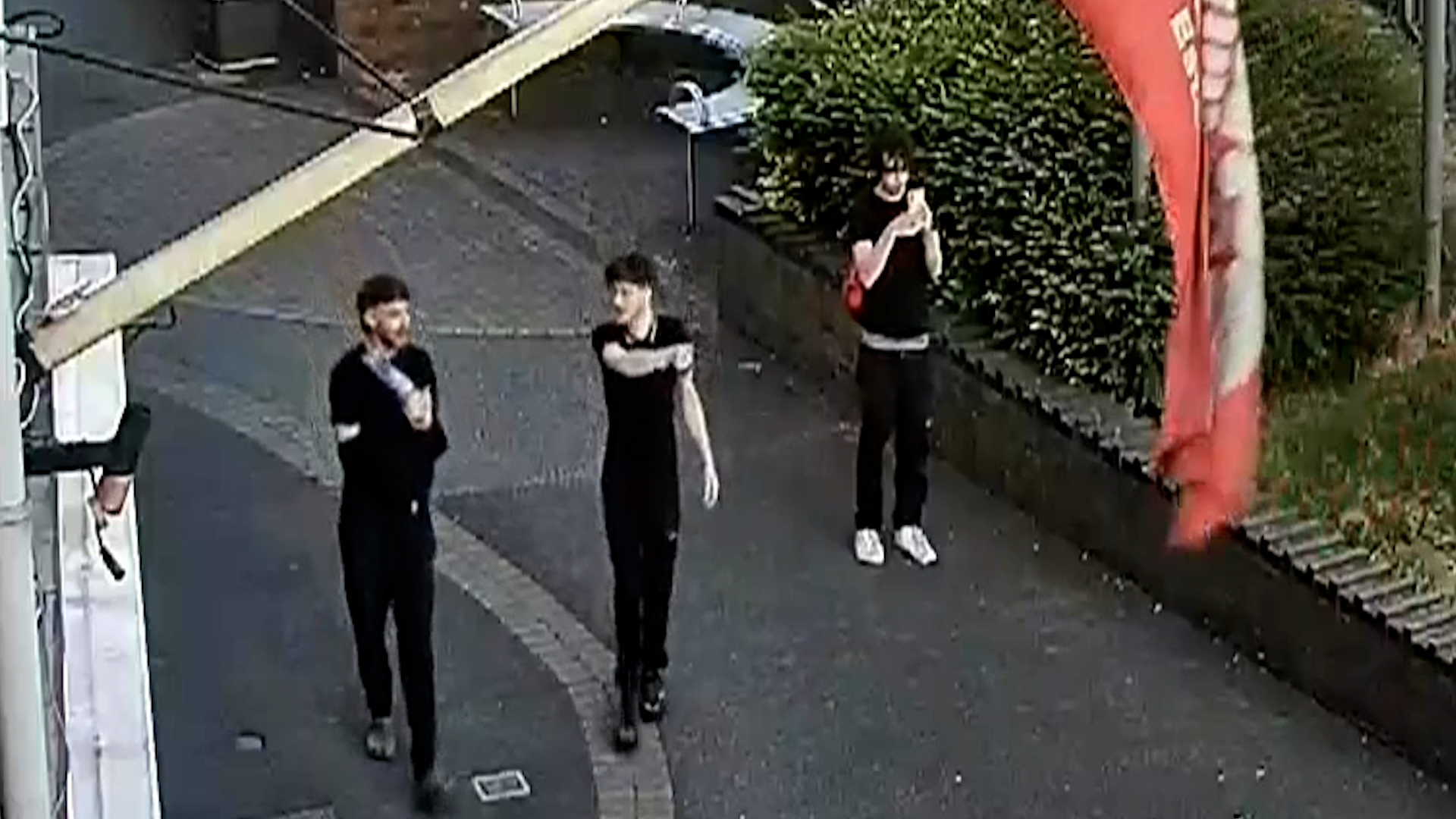 Mansfield Appeal