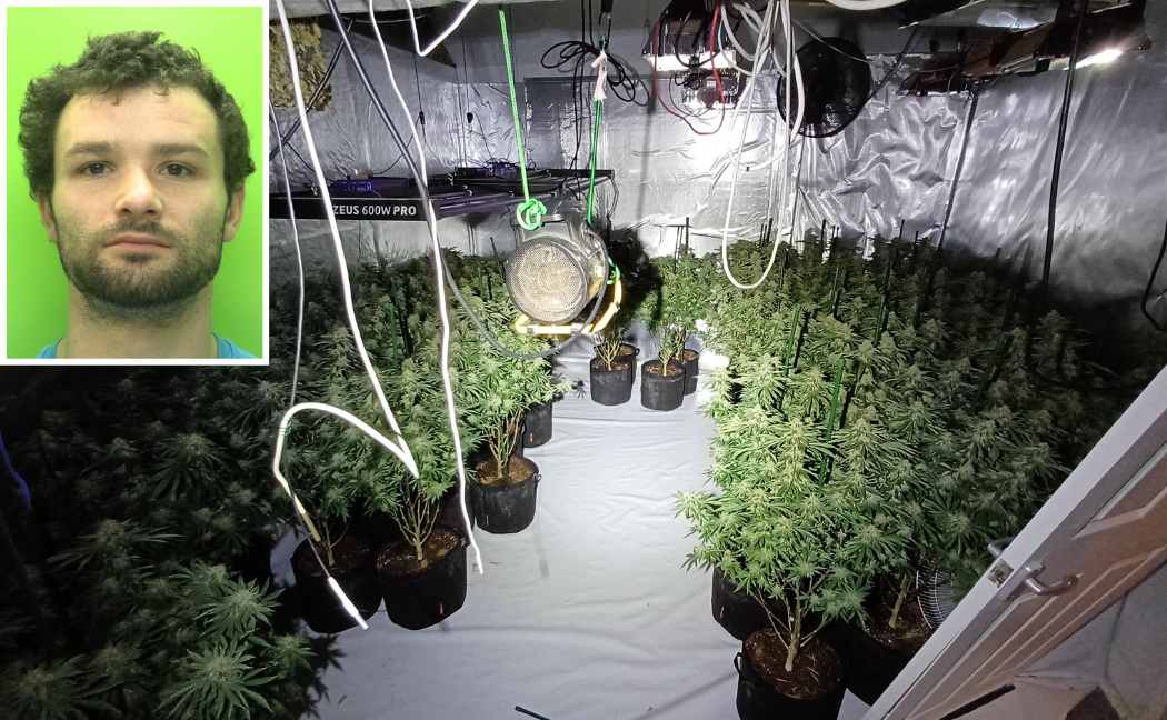 Mecislav Losovski  and the cannabis grow discovered in Mansfield 