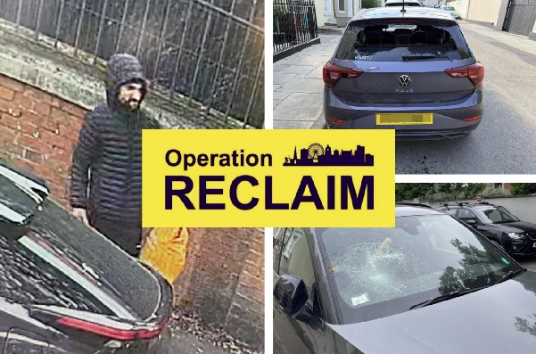 A car vandal has been jailed