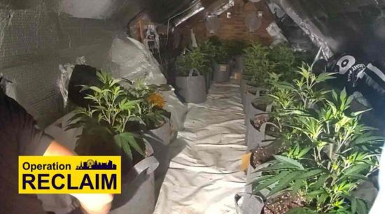 Operation Reclaim: Cannabis farm found above city centre pub