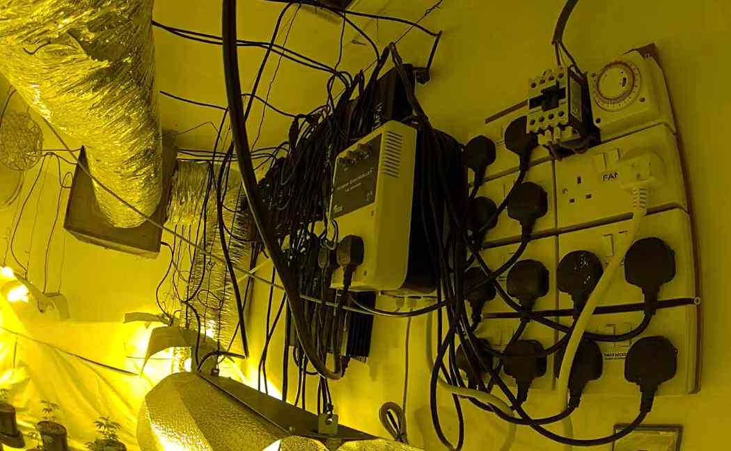 Masses of plugs and wires used to power the grow