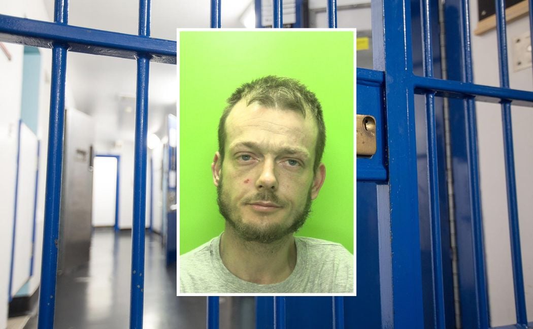 Jack Marshall custody
