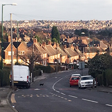 Image of Bestwood