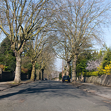 Image of Daybrook and Bonington